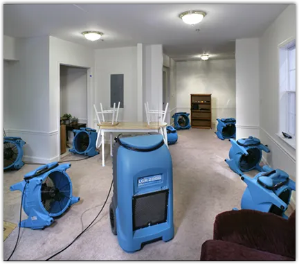 Water Damage Restoration services in Sparta, WI
