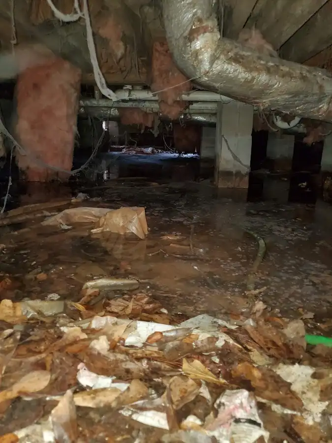 Crawl space flood assessment for Leak Detection & Repair in Sparta